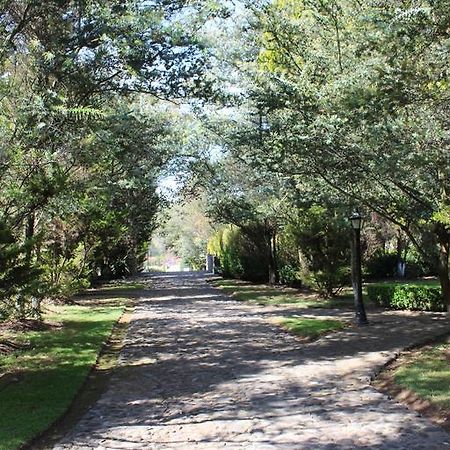 Rancho San Antonio Hotell Huasca de Ocampo Eksteriør bilde