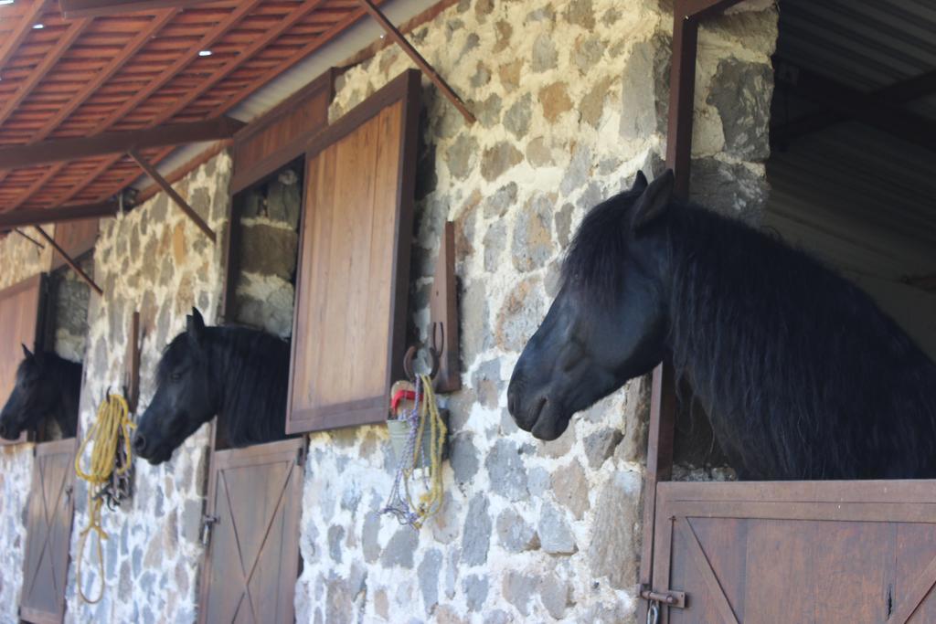 Rancho San Antonio Hotell Huasca de Ocampo Eksteriør bilde