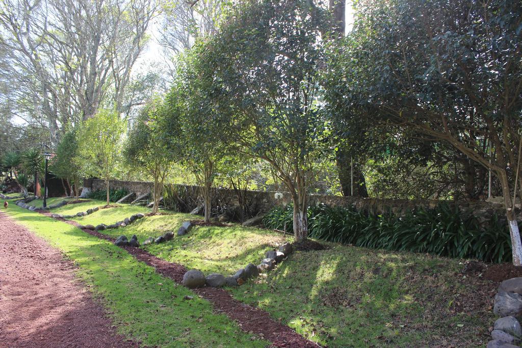 Rancho San Antonio Hotell Huasca de Ocampo Eksteriør bilde