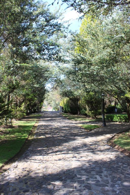 Rancho San Antonio Hotell Huasca de Ocampo Eksteriør bilde